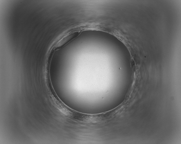 X0000070380293200606161351