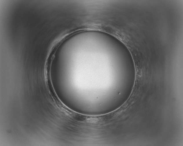 X0000070380294200606161351