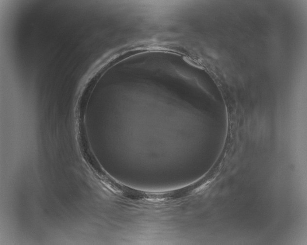 X0000070380295200606161351