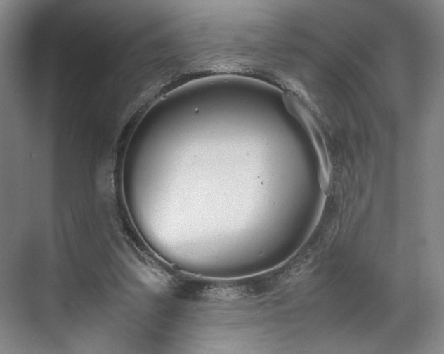 X0000070380299200606161351