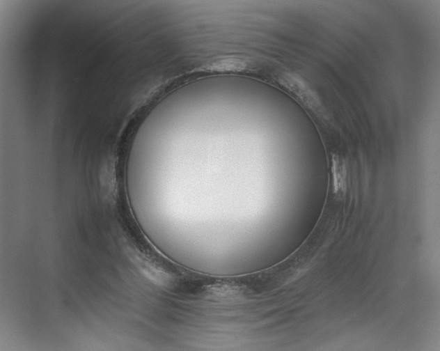 X0000070380300200606161351