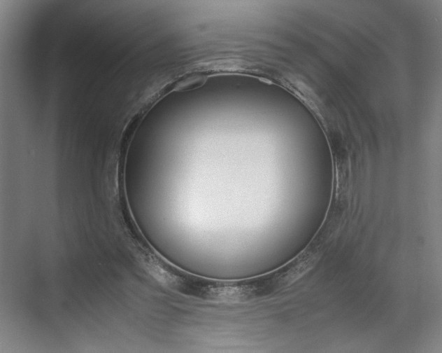 X0000070380301200606161351