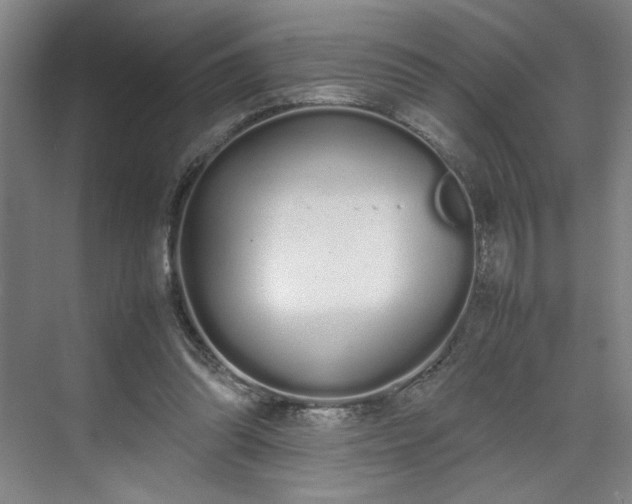 X0000070380302200606161351