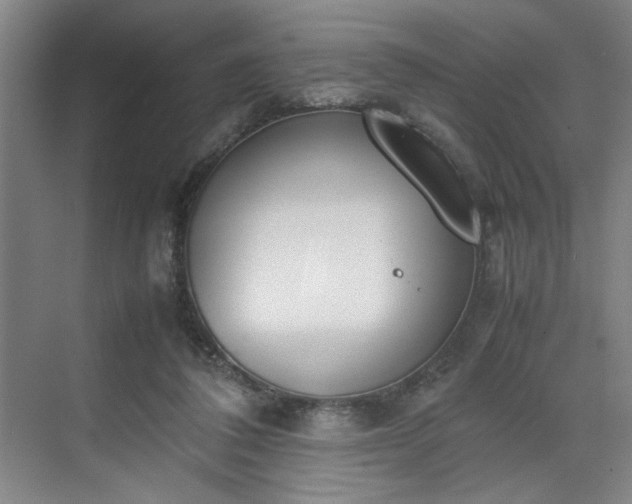 X0000070380308200606161351