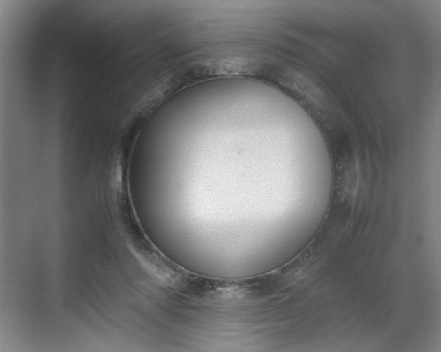 X0000070380310200606161351