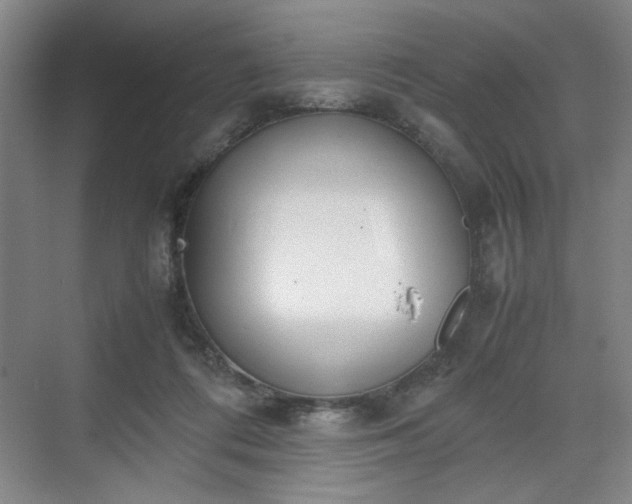 X0000070380312200606161351