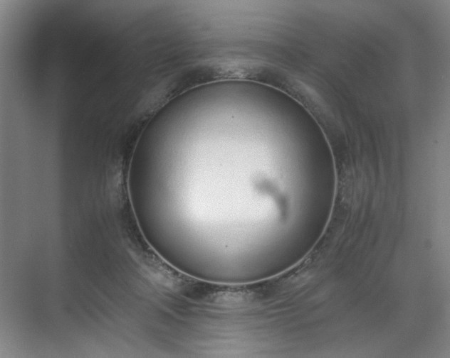 X0000070380314200606161351