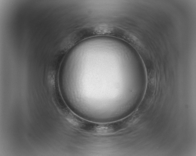 X0000070380315200606161351