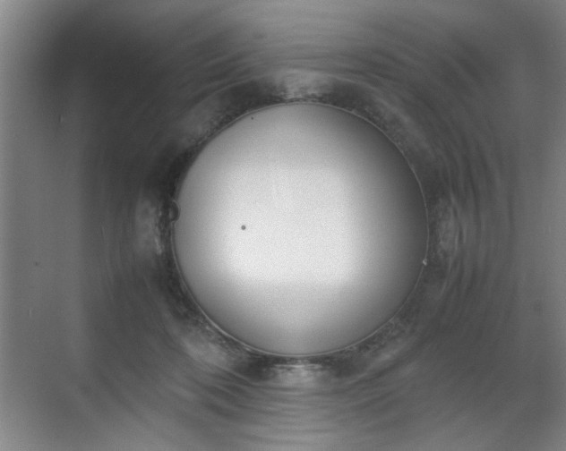 X0000070380316200606161351