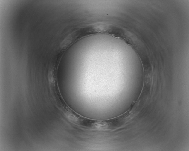 X0000070380317200606161351