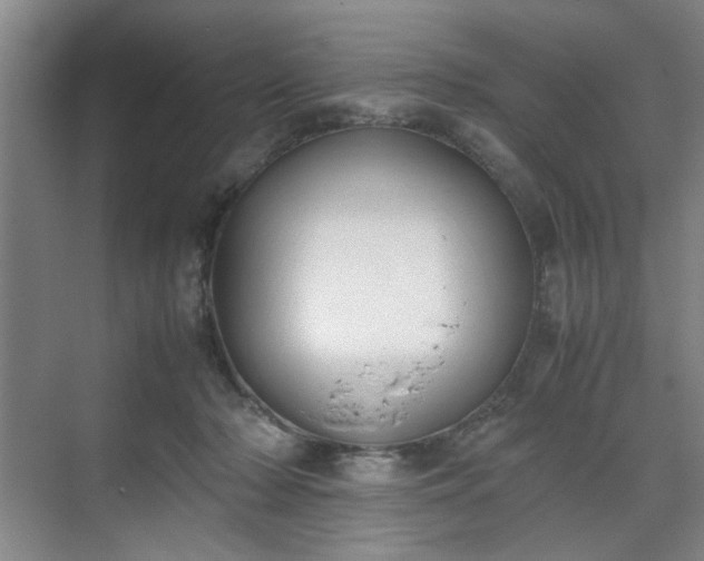 X0000070380318200606161350