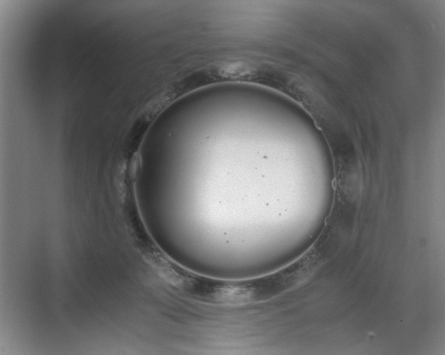 X0000070380319200606161350