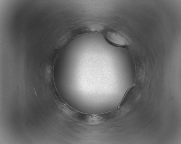 X0000070380321200606161350