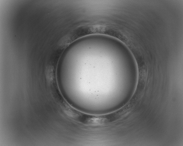 X0000070380323200606161350