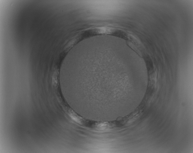 X0000070380325200606161350