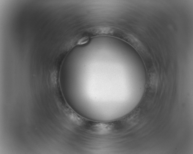 X0000070380326200606161350