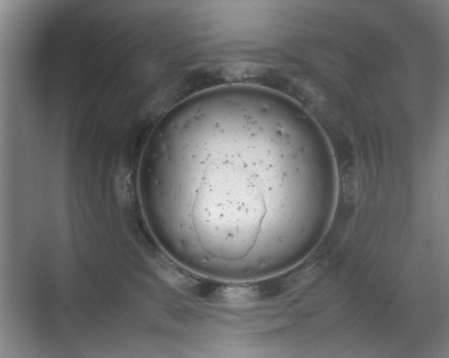 X0000070380327200606161350