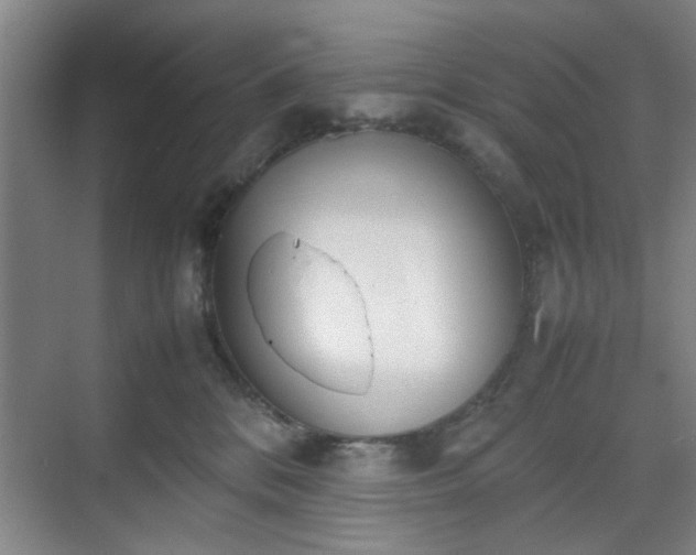 X0000070380328200606161350