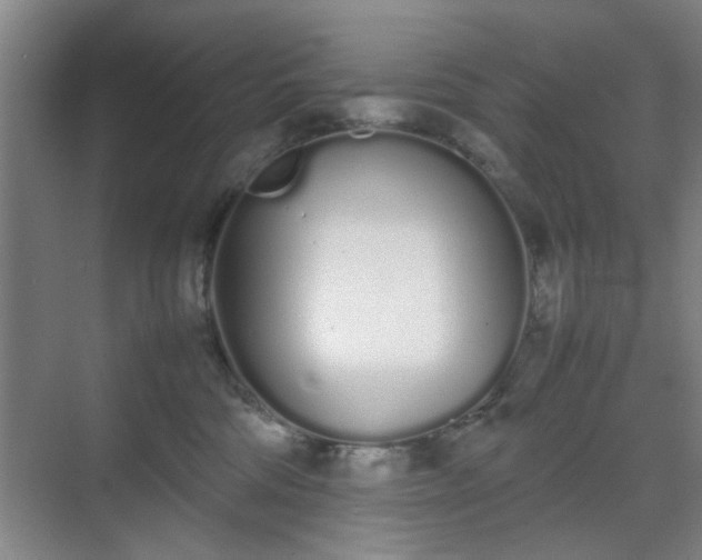 X0000070380330200606161350