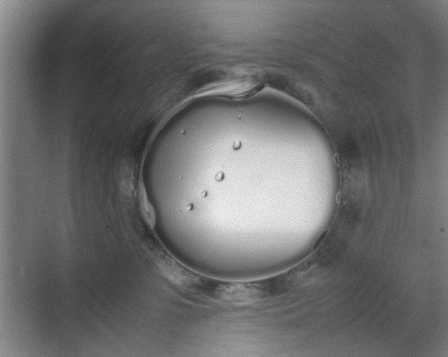 X0000070380331200606161350