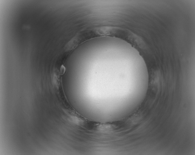 X0000070380332200606161350