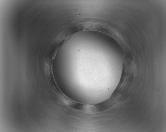 X0000070380333200606161350