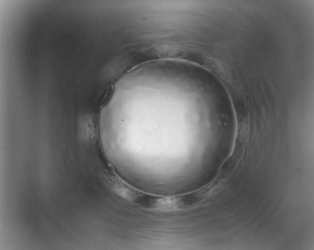 X0000070380335200606161350