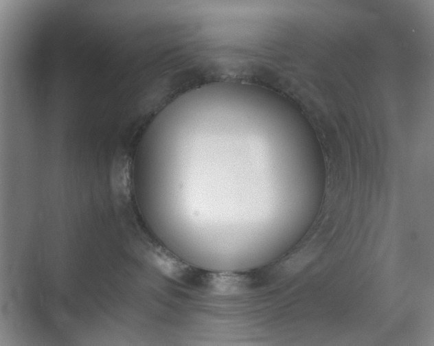 X0000070380336200606161350