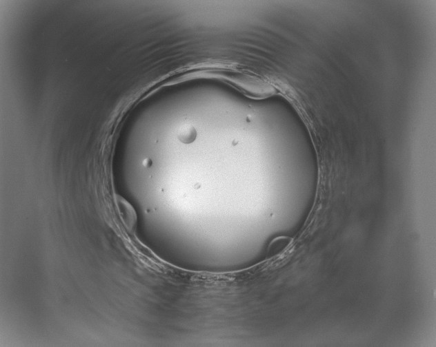 X0000070380337200606161349