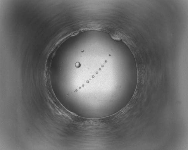 X0000070380338200606161349