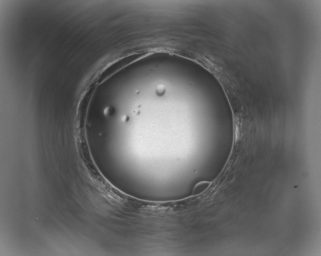 X0000070380339200606161349