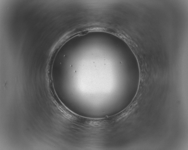 X0000070380341200606161349