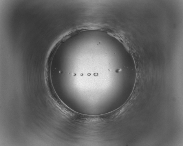 X0000070380342200606161349