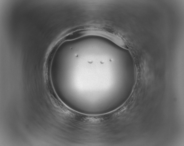 X0000070380343200606161349