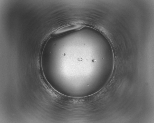 X0000070380345200606161350