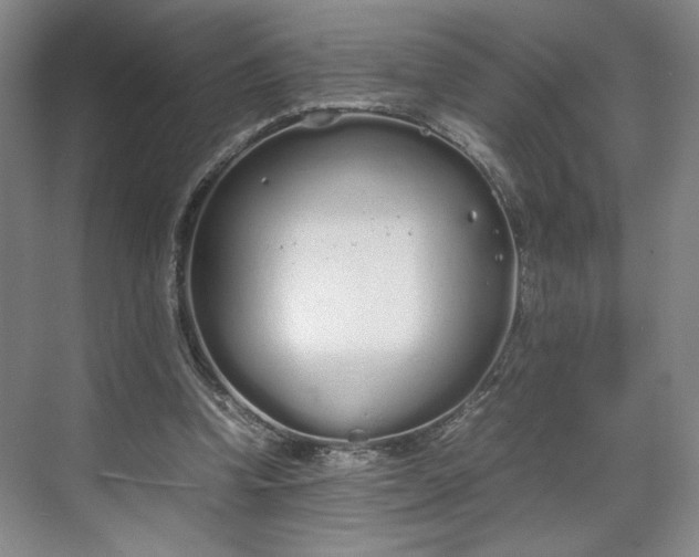 X0000070380346200606161350