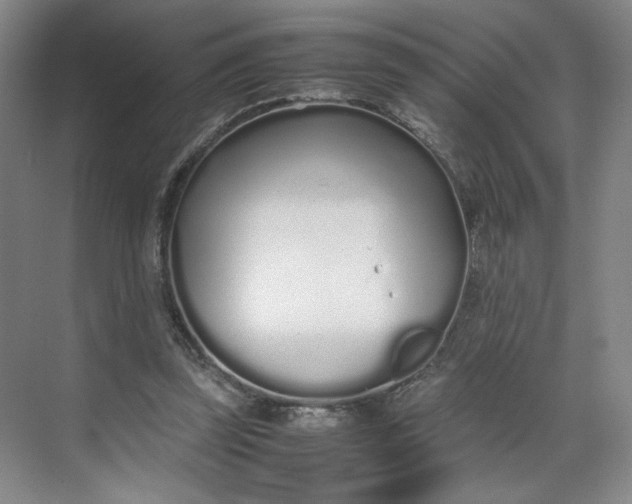 X0000070380347200606161350