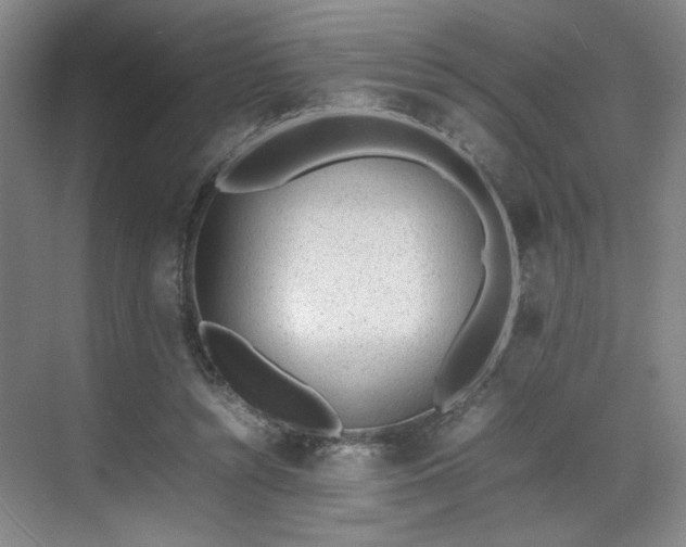 X0000070380352200606161350