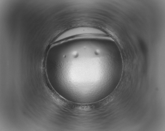 X0000070380353200606161350