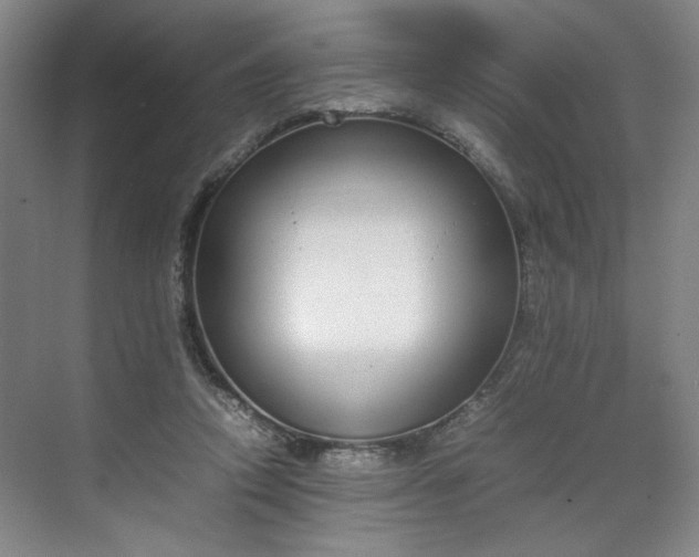 X0000070380354200606161350