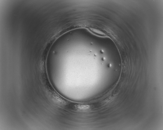 X0000070380355200606161350