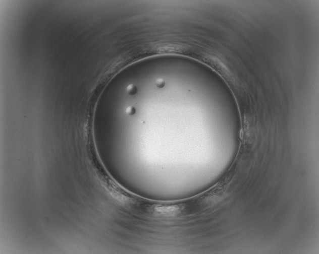 X0000070380357200606161350