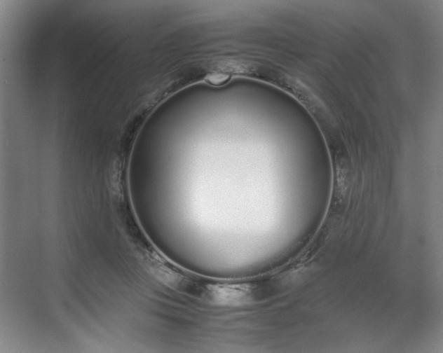 X0000070380359200606161350