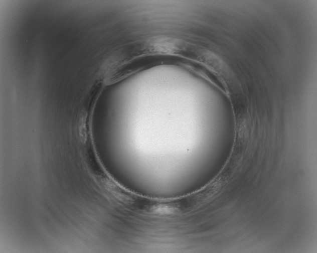 X0000070380360200606161350