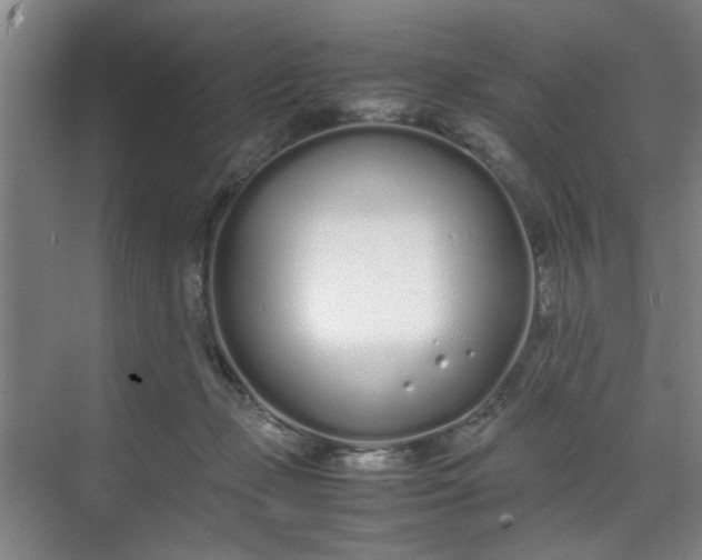 X0000070380365200606161350