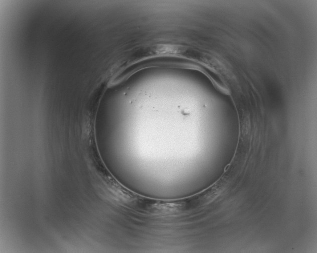 X0000070380367200606161350