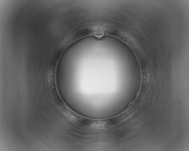 X0000070380369200606161350