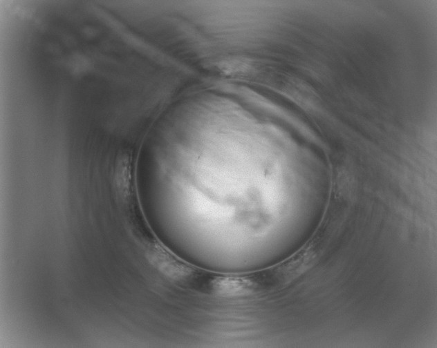 X0000070380372200606161350