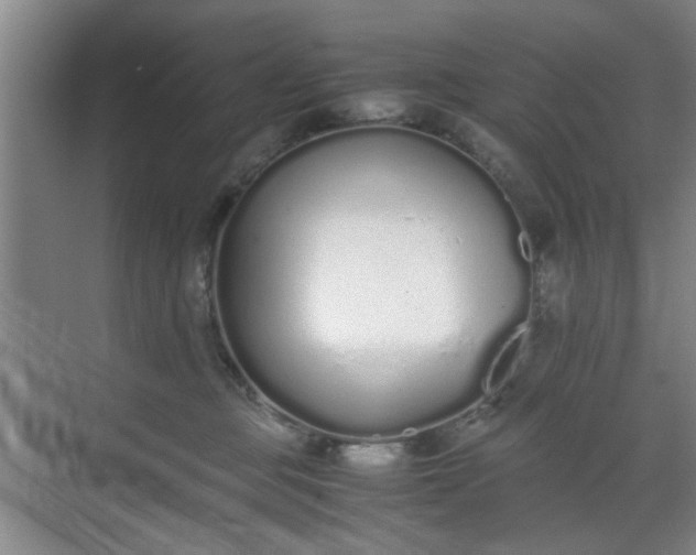 X0000070380373200606161350