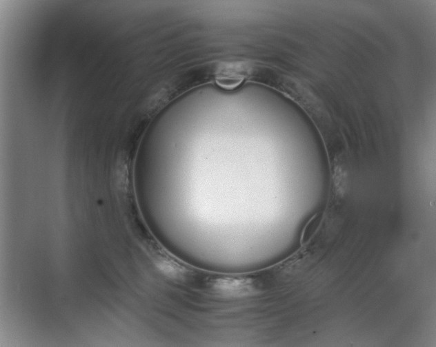 X0000070380375200606161350